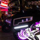 Rigid 202053 Radiance+ Pod RGBW Pair - BumperStock