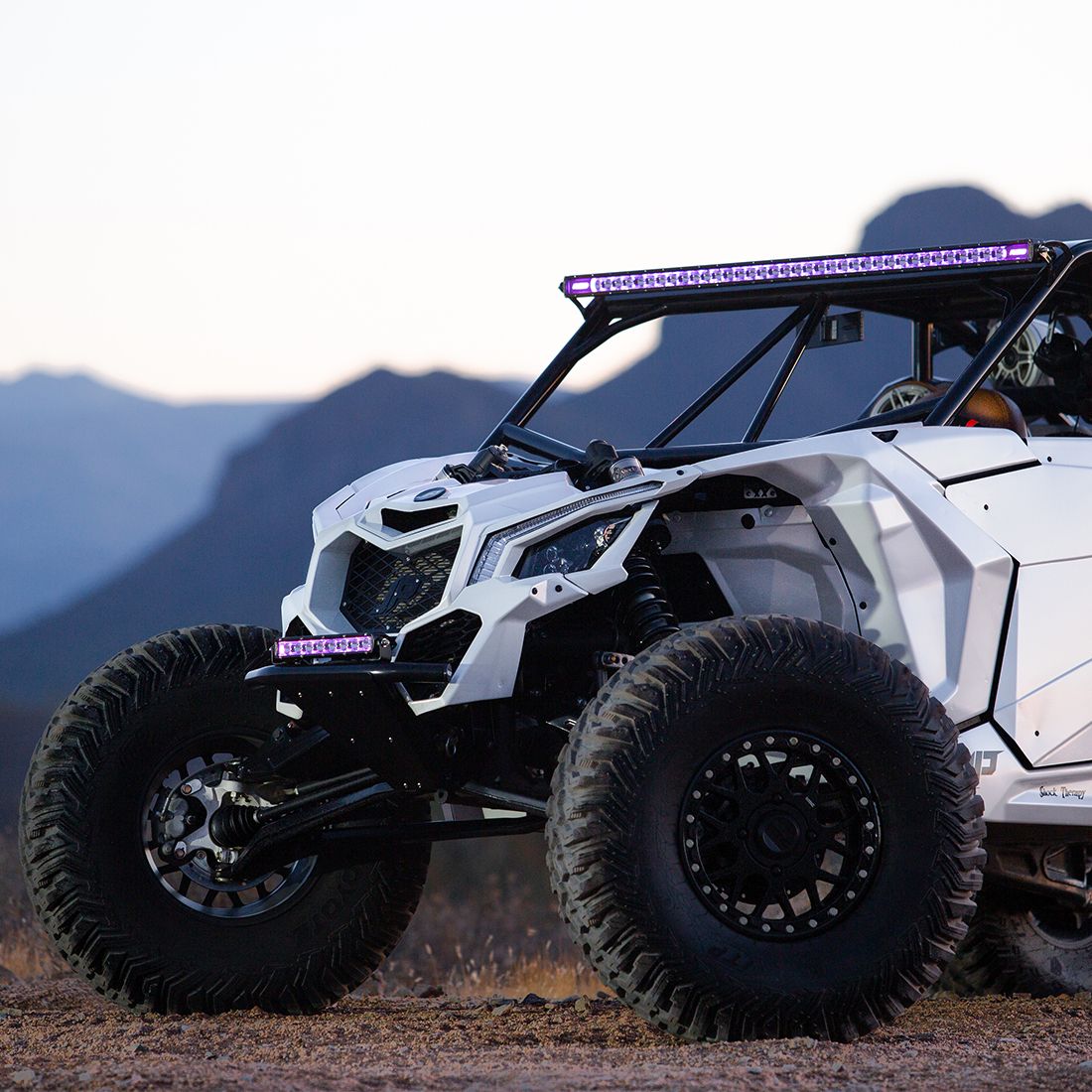 Rigid 230603 Radiance+ SR-Series 30 Inch RGBW Lightbar - BumperStock