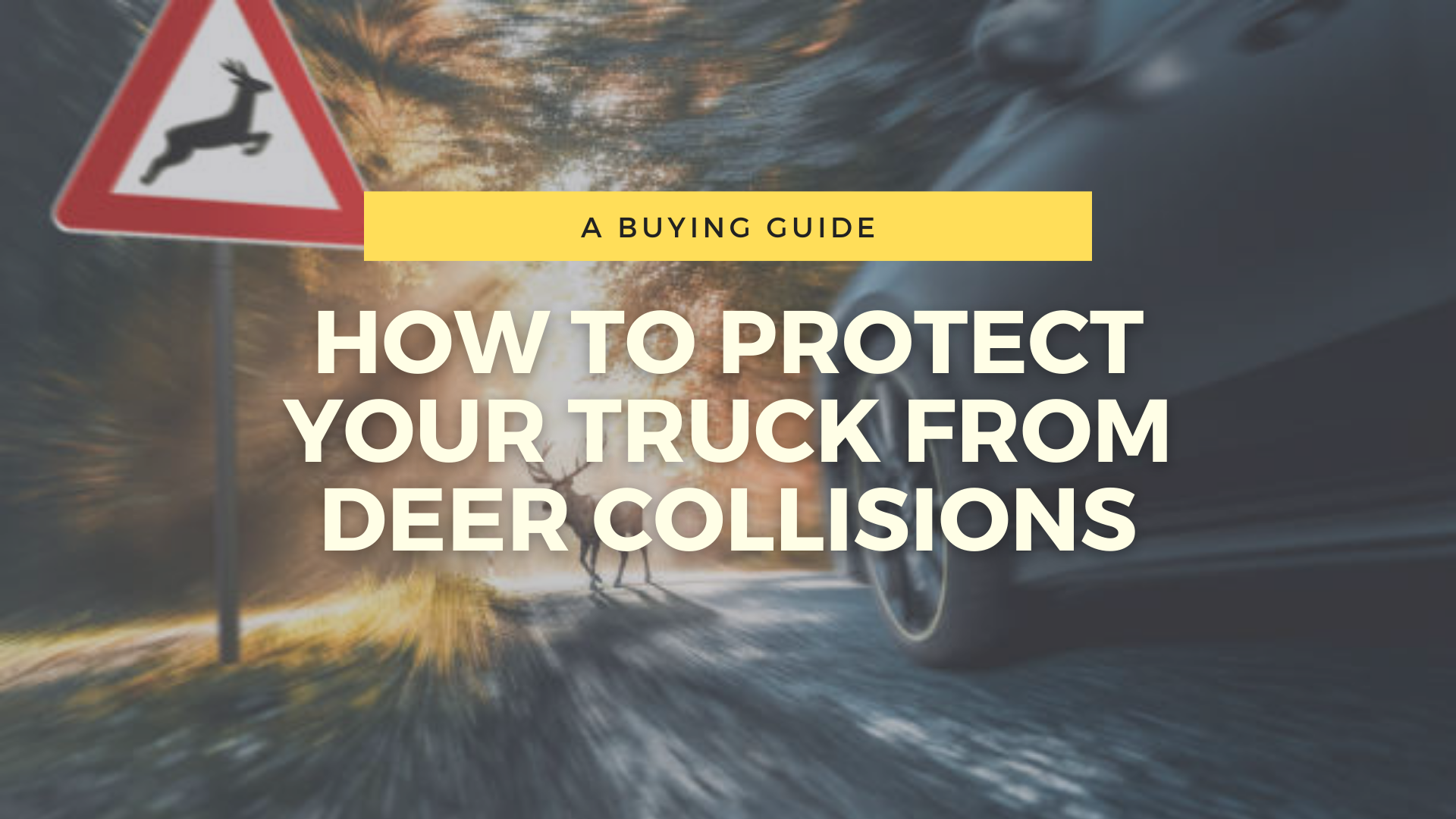 How To Protect Your Truck From Deer Collisions