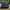 Westin 58-41145 Ford F150 Raptor 2017-2020 Pro-Mod Front Bumper Non-Winch - BumperStock