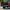 Westin 58-421005 GMC Sierra 2500/3500 HD 2015-2019 Pro-Series Rear Bumper Black Finish - BumperStock